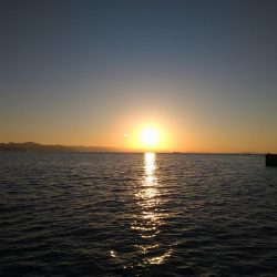 小さいけど爆釣